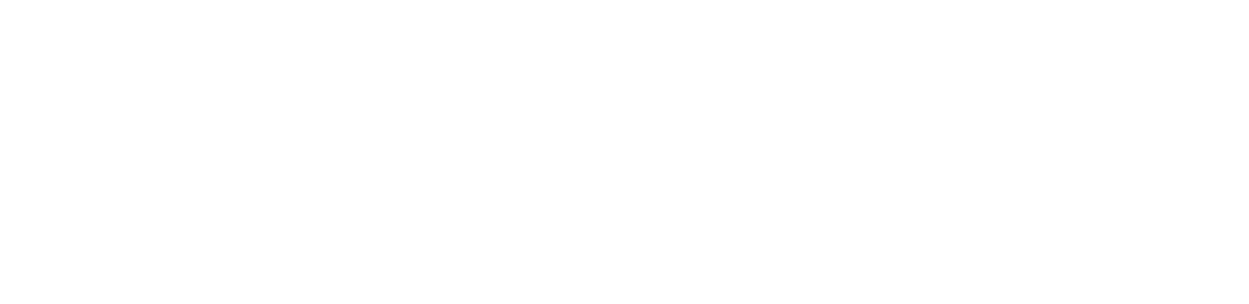 Pragma_Rev (1)