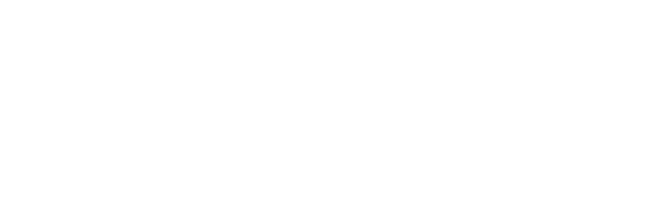 Skindepth Logo-white